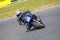 enduro-digital-images;event-digital-images;eventdigitalimages;mallory-park;mallory-park-photographs;mallory-park-trackday;mallory-park-trackday-photographs;no-limits-trackdays;peter-wileman-photography;racing-digital-images;trackday-digital-images;trackday-photos